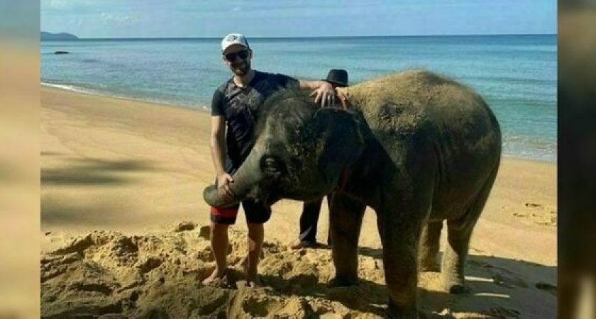 Президент «Абрау-Дюрсо» Павел Титов на новогодних праздниках купал слона