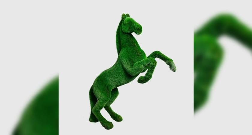 Лошадь встанет на дыбы у школы в Натухаевской под Новороссийском