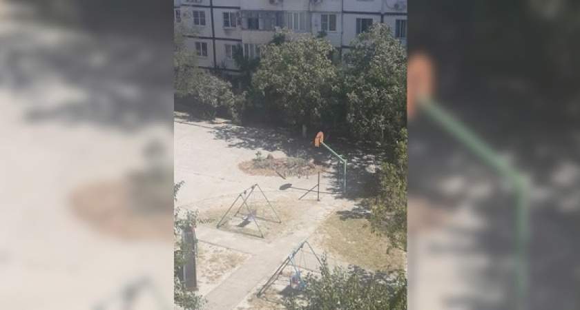 Жители Новороссийска не могут добиться вывоза спиленного дерева