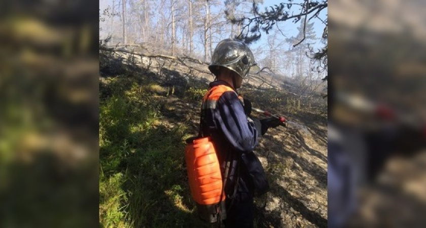 В Новороссийске несколько часов тушили лесной пожар на площади 0,5 гектара: 10 фото работы спасателей