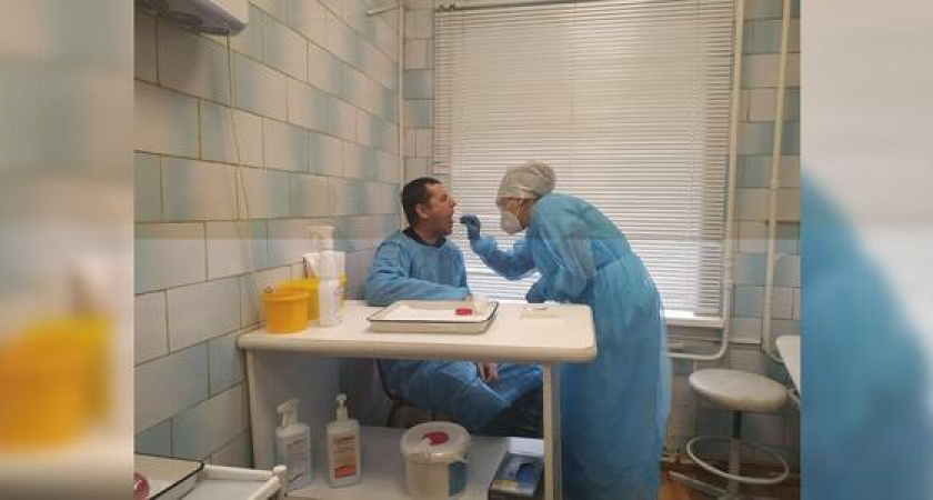 За сутки на Кубани у 91 пациента подтвердился коронавирус (в Новороссийске – ни у одного)