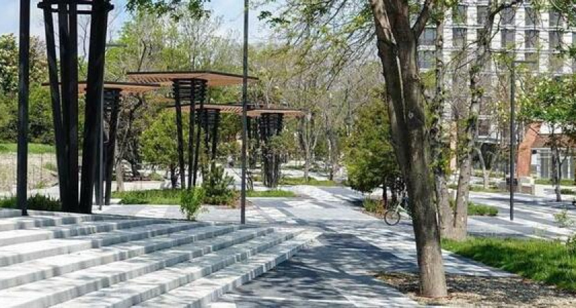 Экологи, общественники и краеведы Новороссийска рассказали, как спасти деревья и пруд в парке Фрунзе