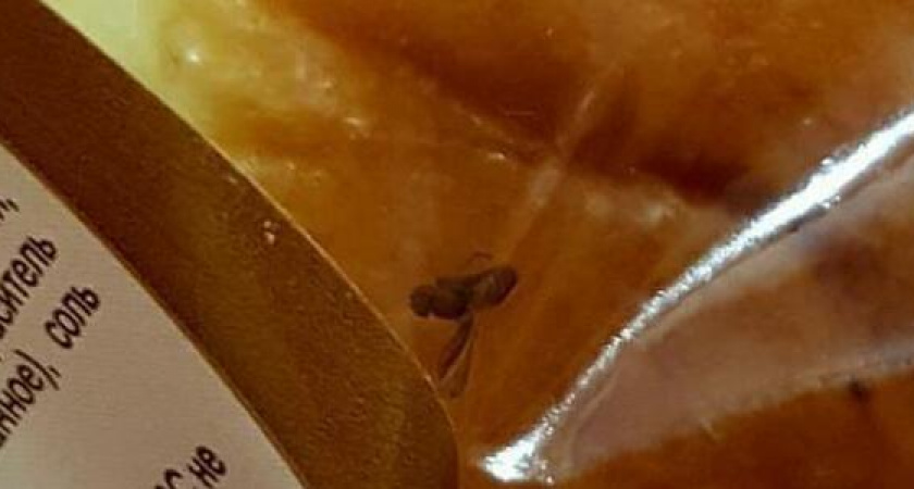 Жительница Новороссийска купила ватрушку с мухой в одном из супермаркетов города