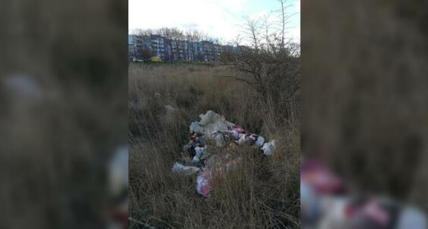 "Плакать хочется". В Новороссийске почти сразу после массового субботника на Прилагунье появились кучи мусора