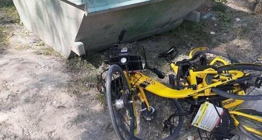 В парке Новороссийска выбросили прокатные велосипеды на мусорку