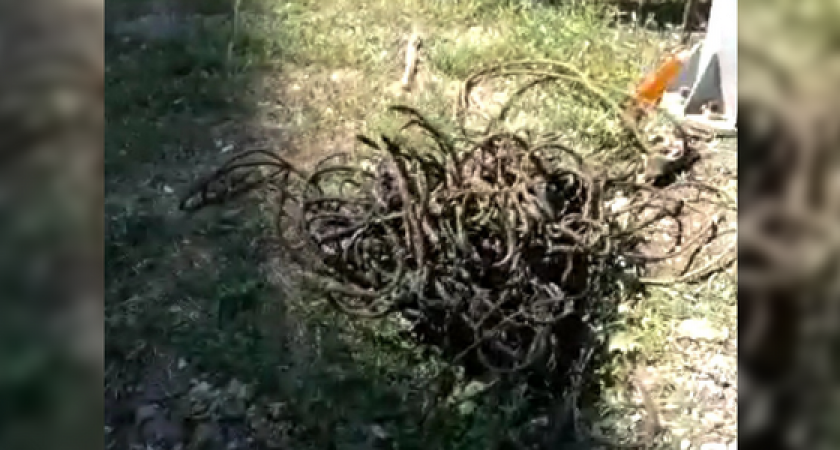 В Новороссийске по вине строителей фекалиями затопило жилой микрорайон