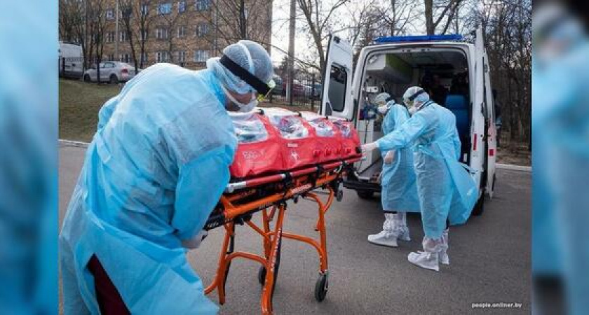 Мексика, Куба, Италия, Чехия: видео как коронавирус попал на Кубань