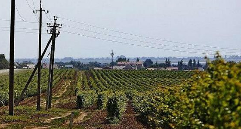 В «Винной деревне» под Новороссийском построят гостиницу и ресторан