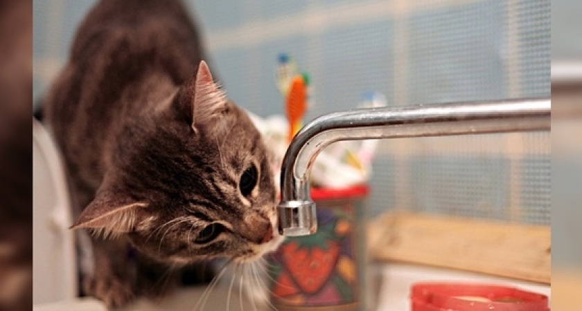 Завтра в Новороссийске ограничат подачу воды. Кому нужно ей запастись