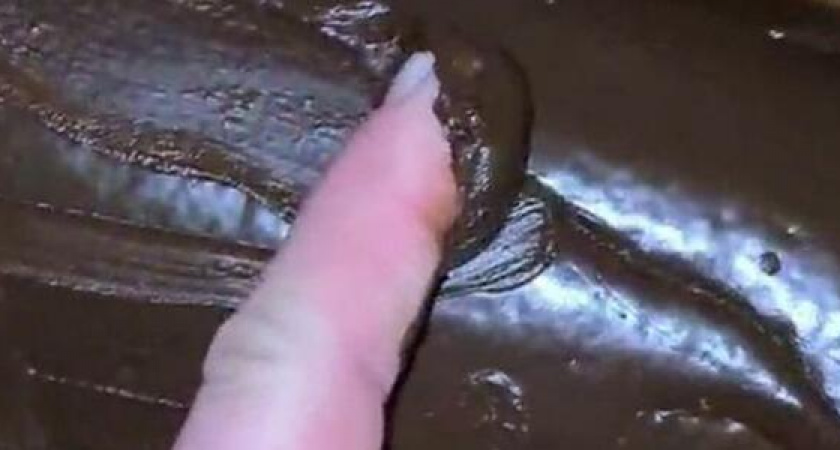 «Шоколадная фабрика?!»: новороссийцы показали, как выглядит водяной фильтр после месяца использования