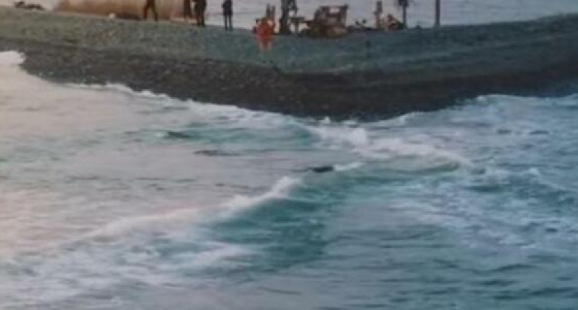 Перекрестные волны Суджукской косы Новороссийска: завораживающее видео с высоты