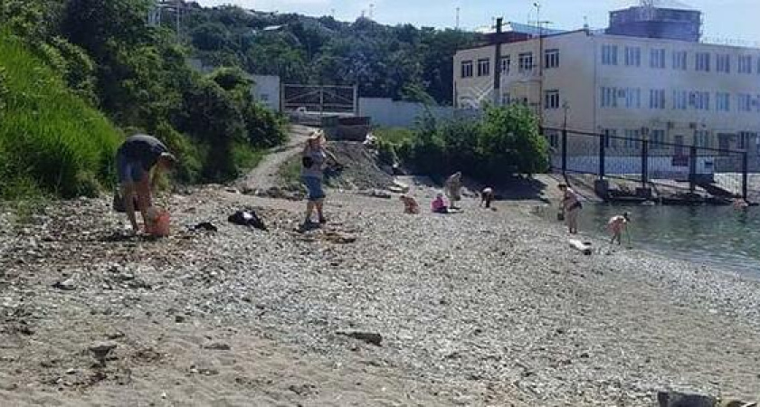 Слушания по проекту морского терминала на Волочаевском пляже в Новороссийске отменили из-за ковида