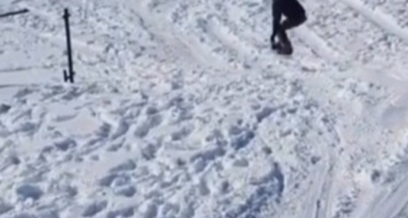 «Наши дюны лучше гор». Анапчане устроили катание на сноубордах по заснеженному пляжу