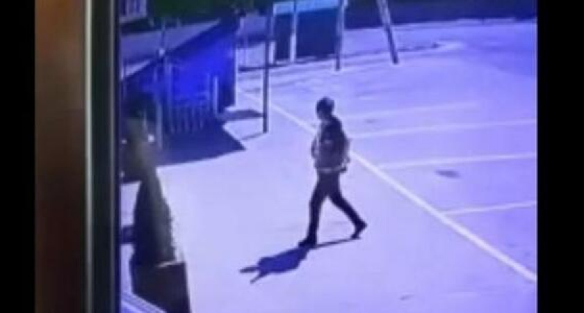 «Хотим найти ее и вернуть добро». Видеокамера записала, как женщина подбросила коробку с щенками под магазин в Новороссийске