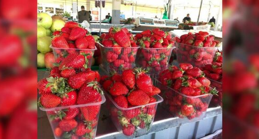 От 250 до 600 рублей. На прилавках рынков Новороссийска появилась первая клубника