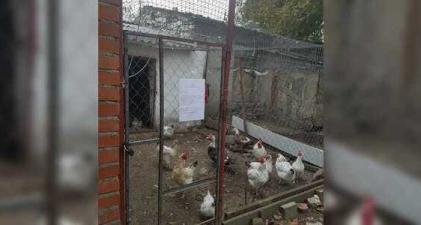 В пригороде Новороссийска снесут курятники, гаражи и сараи