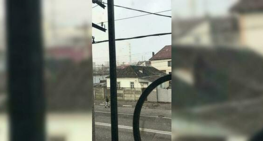 «Настоящая пурга!». В Новороссийске пошел первый снег (видео)