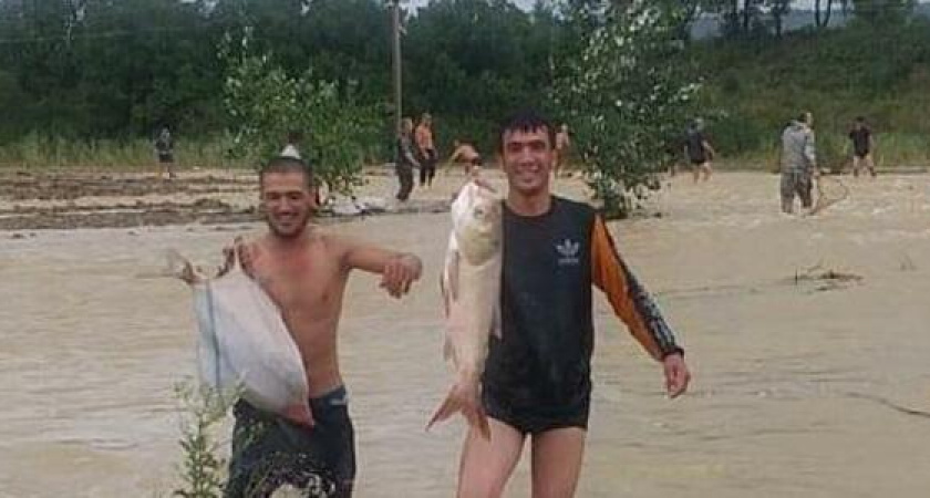 В Гостагаевской сильный ливень смыл рыбу в поле, люди собирают ее руками