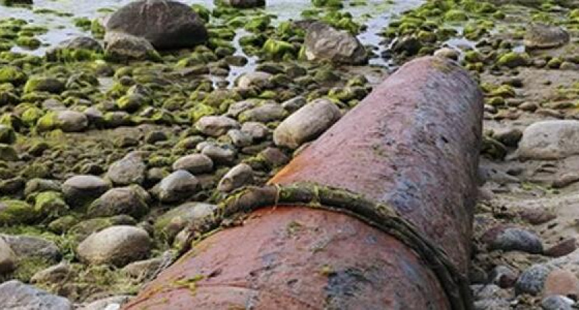 Под Новороссийском обнаружили немецкую торпеду времен ВОВ