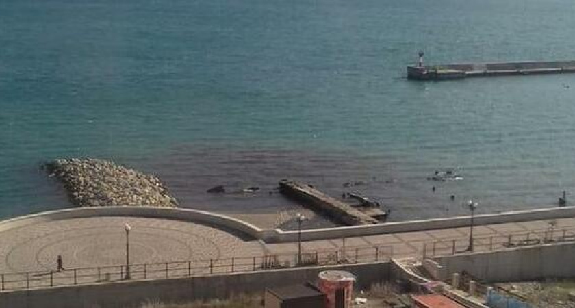 «Вода пенится, плавают фекалии!»: новороссийцы пожаловались, что в море сливают канализацию