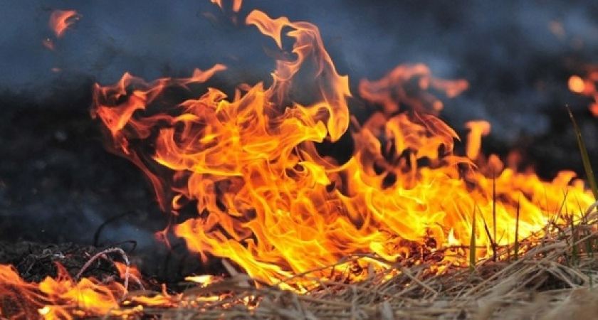 В Новороссийске объявлена чрезвычайная пожароопасность с сильным ветром