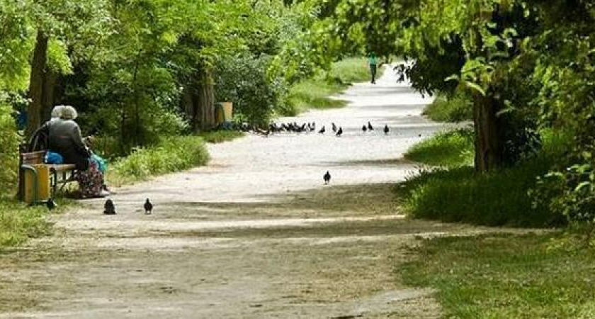 В Пионерской роще Новороссийска пройдет бесплатная фотосессия для многодетных и семей с детьми-инвалидами