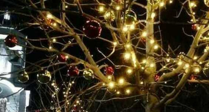 В Новороссийске ребенка ударило током от елочной гирлянды. Инцидент произошел на бульваре Черняховского