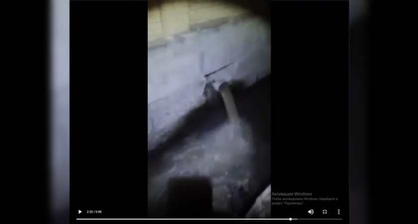 «Вонь, мертвые птицы и крысы»: новороссиец спустился в ливневый коллектор и снял на видео врезку, через которую в море спускают канализацию