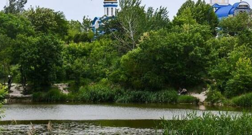 По результатам голосования по выбору территории  для благоустройства в Новороссийске лидируют  Южные пруды – уже более 32 тысяч голосов. Кто удивлен?