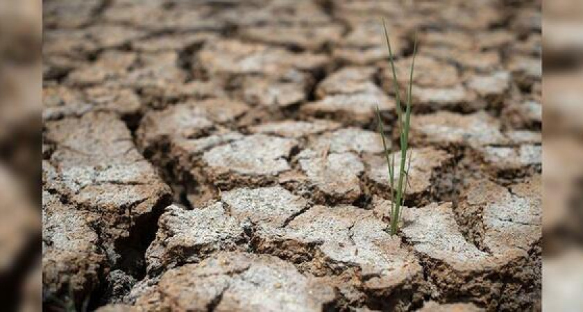 Синоптики прогнозируют почвенную засуху в Краснодарском крае