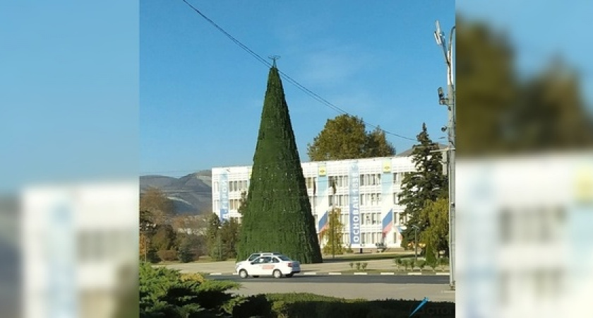 На центральной площади установили главную новогоднюю елку. Новороссийцы недовольны