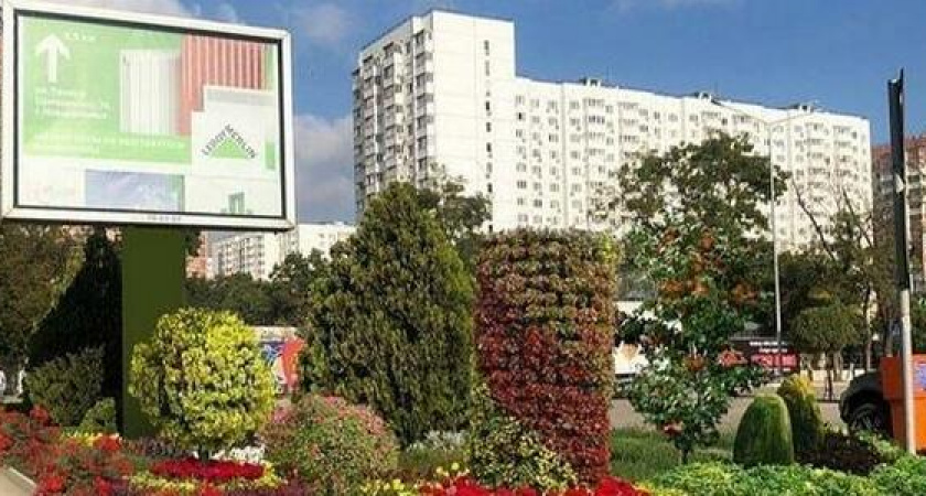 Лавандовые поля и зеленые кровли: главный архитектор Новороссийска рассматривает варианты озеленения города