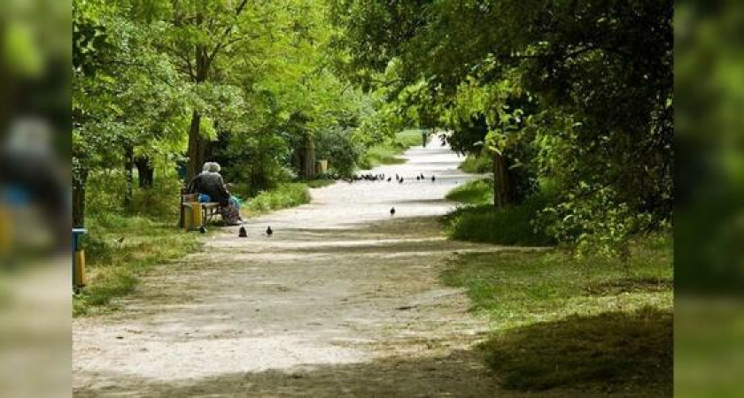 К концу года в Новороссийске появится 37 зеленых зон общей площадью 270 гектаров