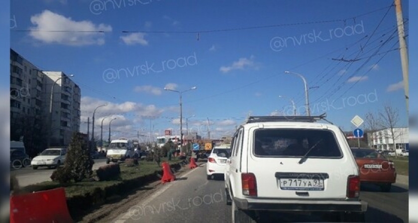 В 13 микрорайоне Новороссийска начали демонтировать зеленую зону для расширения дороги