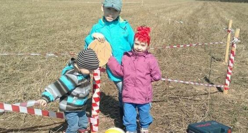 Суд не отдал кипрской компании 22 земельных участка в центре Новороссийска