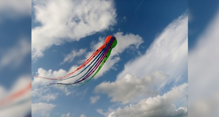 «Осьминог», «Касатка», «Жар-птица» и другие персонажи парили сегодня в небе Новороссийска