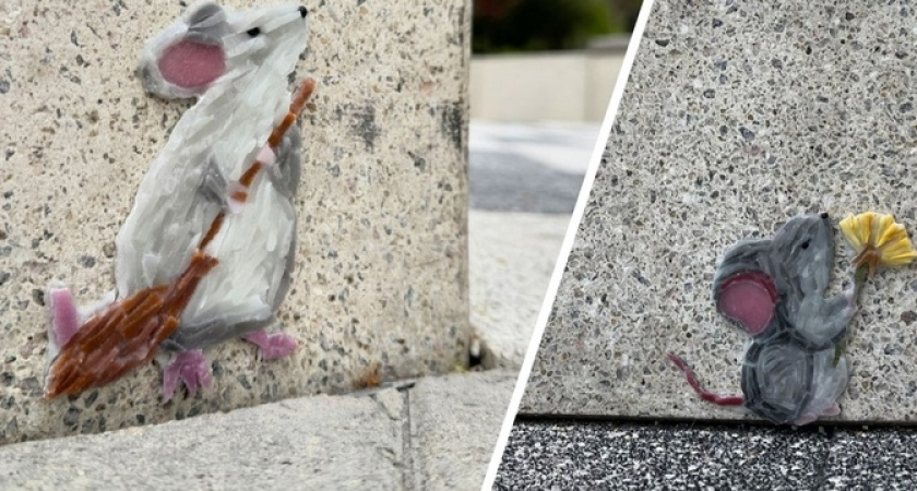 В парке Фрунзе Новороссийска поселилось семейство мышат