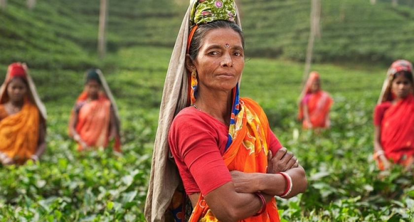 Названы марки чая, сокращающие жизнь: в них обнаружили пестициды, плесень и даже кишечную палочку
