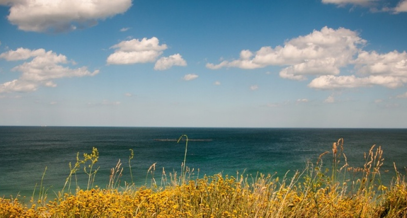 «Грязное море и народ - быдло»: худшие пляжи на побережье Краснодарского края