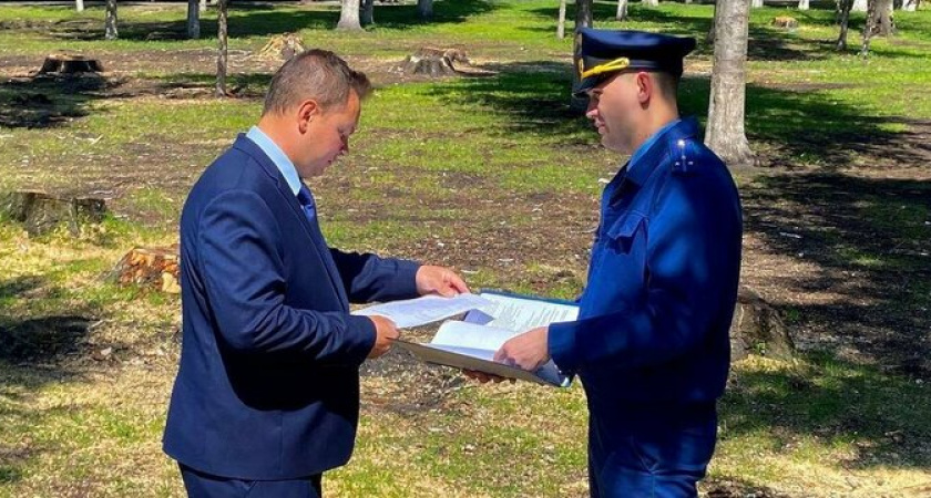 Природоохранная прокуратура забрала у администрации Новороссийска 16 соток лесного фонда