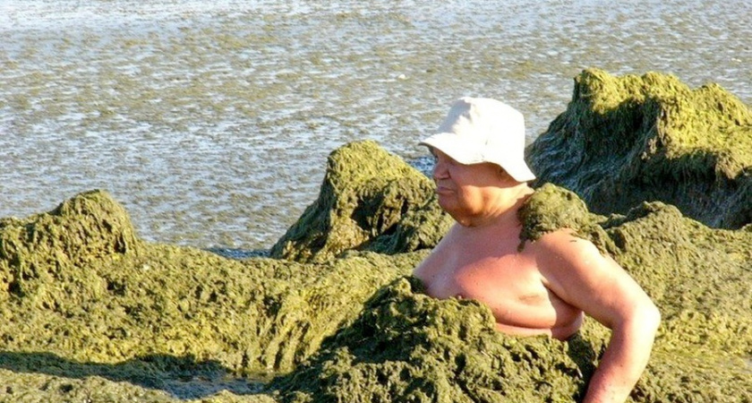 Туристы увозят гниющую тину с пляжей Анапы в лечебных целях 