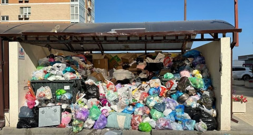 «Крысы ходят по двору, как на параде!»: Новороссийск снова утопает в мусоре