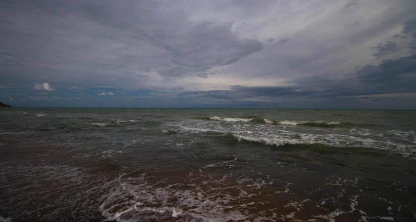 Незваные гости: в Черном море нашли новый вид токсичных водорослей