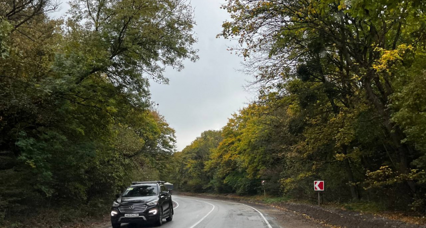 На Кубани введут новый код региона для автомобильных номеров