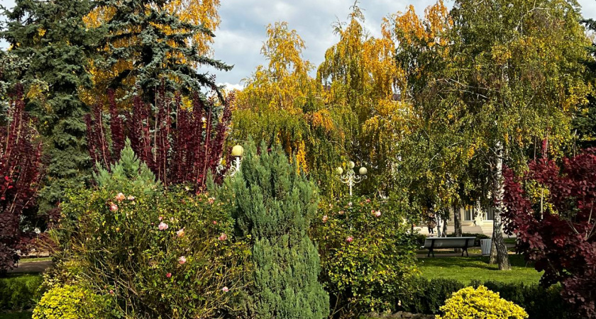 Готовимся к зиме? Полярный воздух принесет резкое похолодание в Краснодарский край