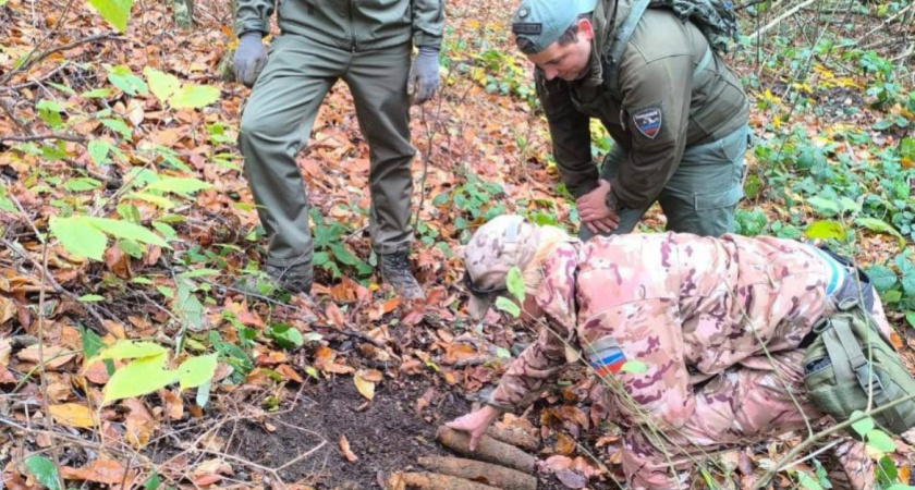 Поисковики нашли схрон боеприпасов времен Великой Отечественной войны под Новороссийском