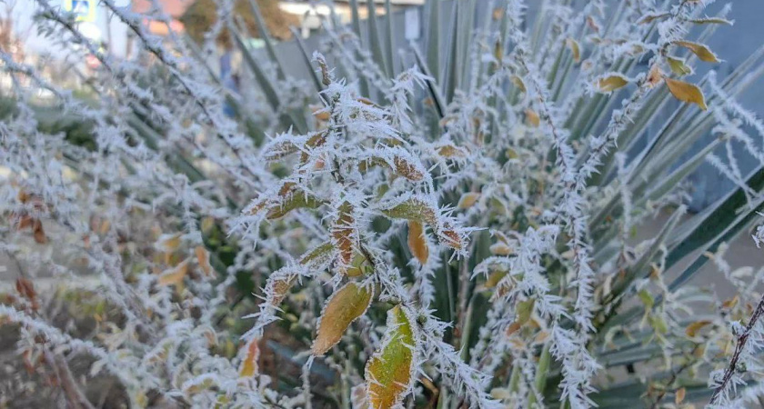 Сразу на 15 градусов: температуры в Краснодарском крае резко снизятся