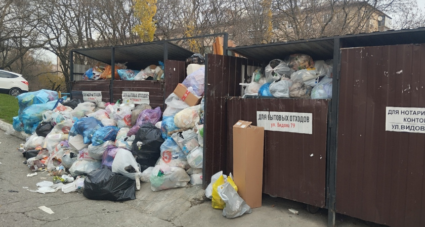 «Что опять сломалось?!»: новороссийцы снова жалуются на горы мусора вокруг контейнеров во дворах