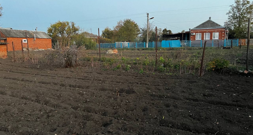 Вот так новость! Дачникам сказали не покупать семена этой зимой - вот в чем причина