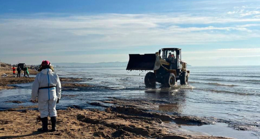На Кубани введен режим ЧС: что это значит на практике для ликвидации последствий разлива мазута
